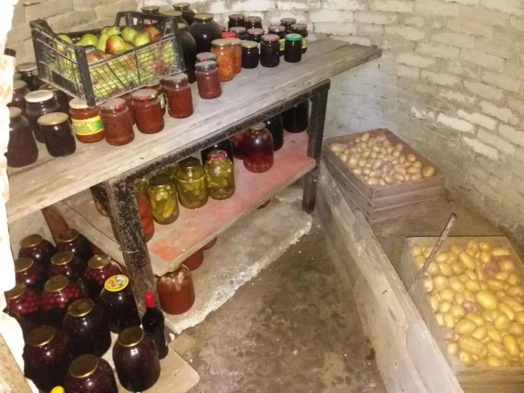 Як захистити запаси в погребі від мишей