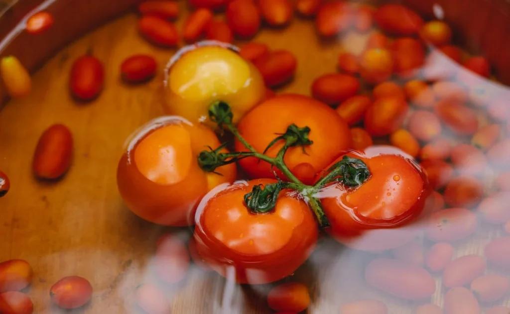 Як підвищити урожайність помідорів за допомогою соди та оцту