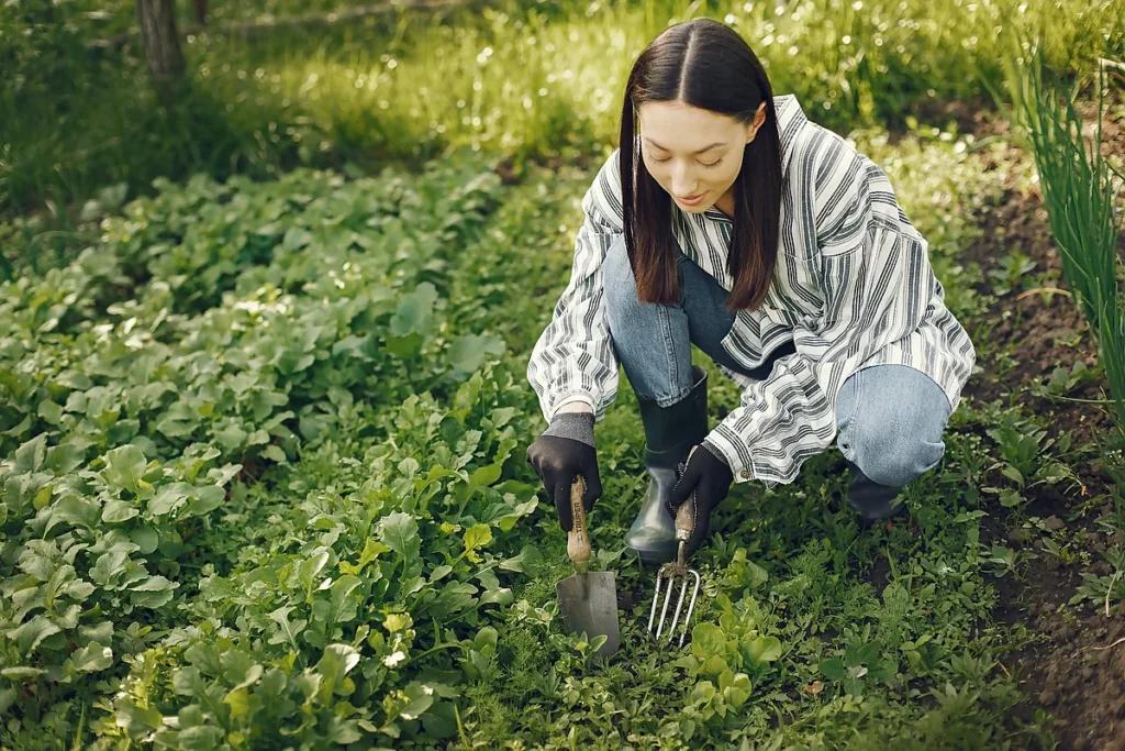 Як зрозуміти, що овочевій культурі не вистачає якогось елемента