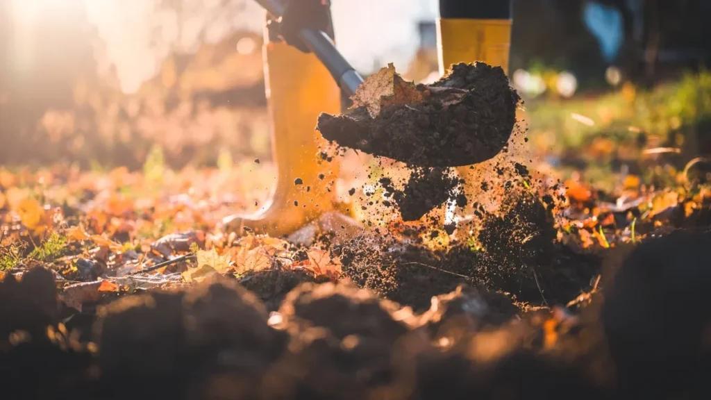 Чи потрібно перекопувати грядки восени: аргументи «за» і «проти»