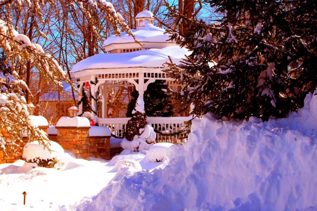 Чи можна утоптувати сніг під деревами та кущами: порада дачникам
