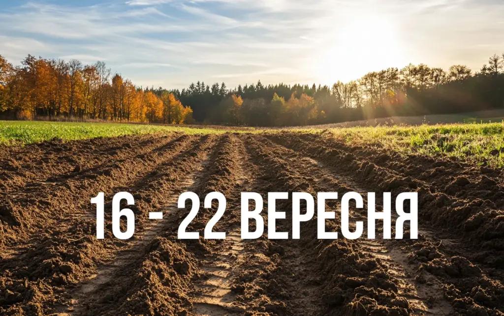 Місячний календар городника і садівника на тиждень з 16 по 22 вересня: що потрібно зробити