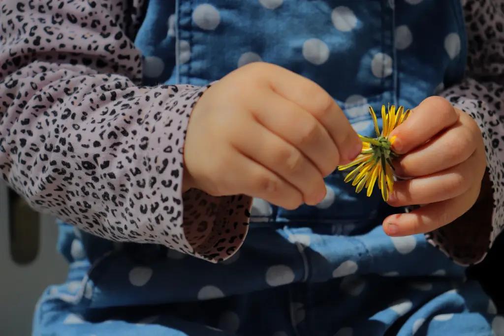 Як врятувати одяг від плям кульбаби: швидкий спосіб