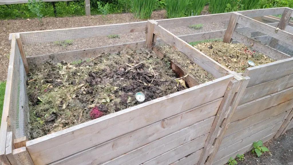 Компост не “дозріває”? Ось що ви робите не так