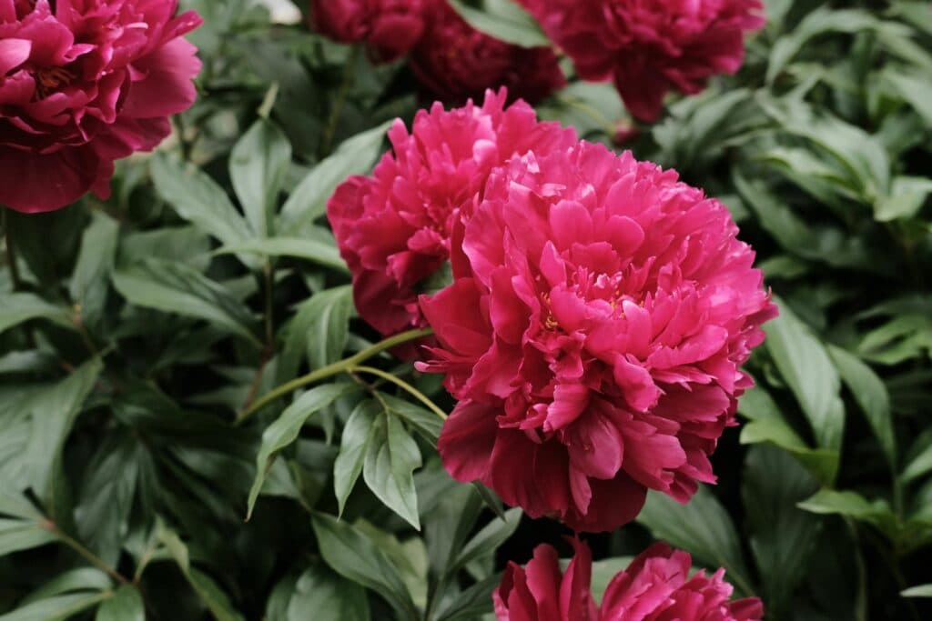 Гороскоп на травень 2026: час садити картоплю чи запускати стартап?