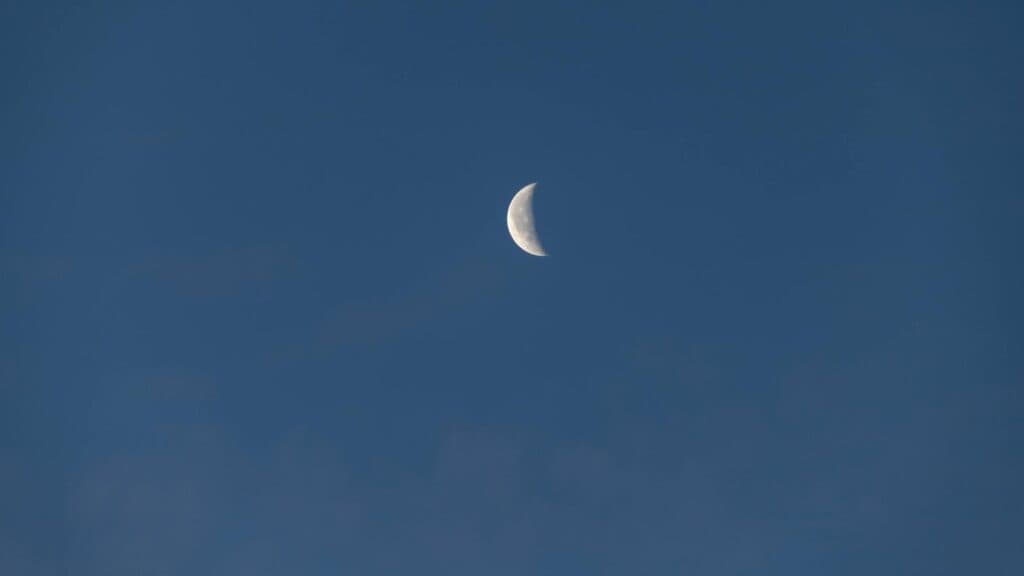 Лев, Терези, Козеріг: хто починає нову еру 6 квітня