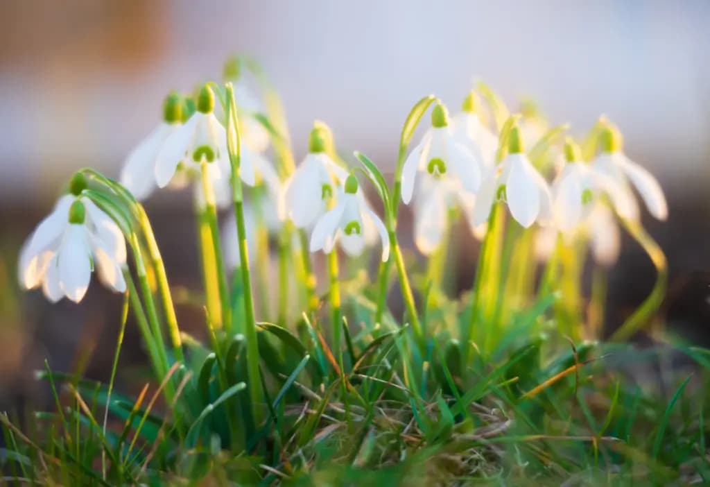 Квітнева теорія: чому квітень — це справжній новий рік для змін