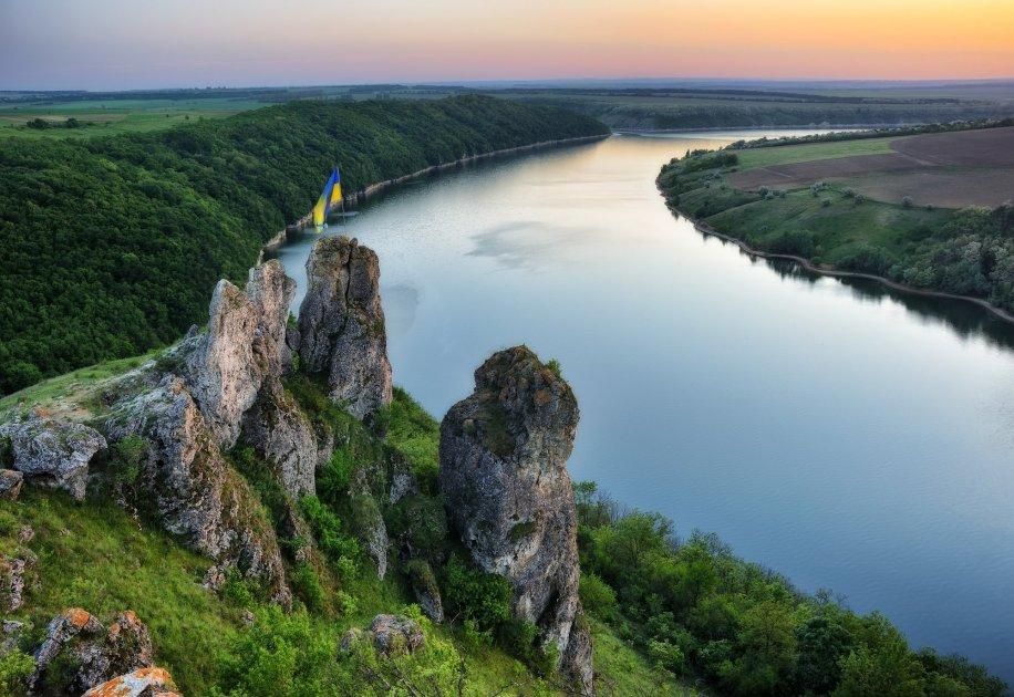 Вчені кажуть, що посадки дерев посилять потепління на Землі