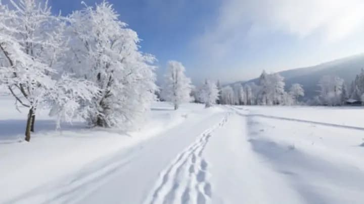 Весна починається під снігом: роль мікробів у відродженні природи