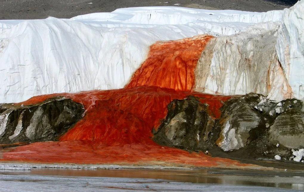 В Антарктиді є химерний темно-червоний водоспад, відомий як «Кривавий водоспад»