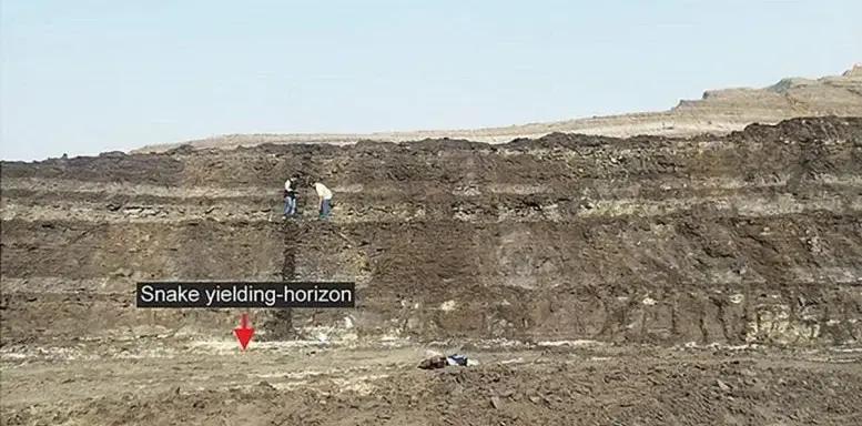 Стародавню гігантську змію 49 футів завдовжки виявили в Індії
