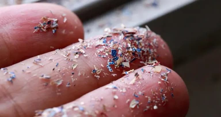 Вчені закликають до «термінових» дій, оскільки мікропластик стає серйозною загрозою для здоров’я людини
