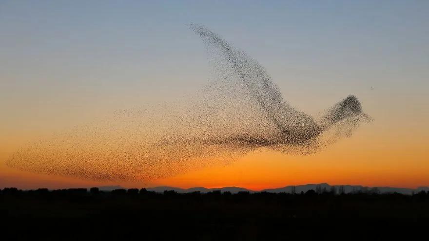 Фотограф зробив унікальний знімок, але зрозумів це лише вдома