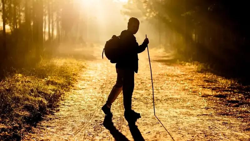 Вчені з’ясували, що дозволяє людині орієнтуватися у просторі