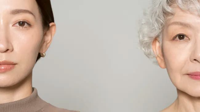 Везикули проти старіння: наука, що змінює правила гри