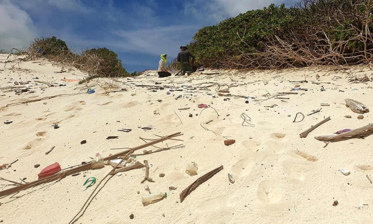 Вчені з’ясували, що повені є потужнішим джерелом океанічного пластику