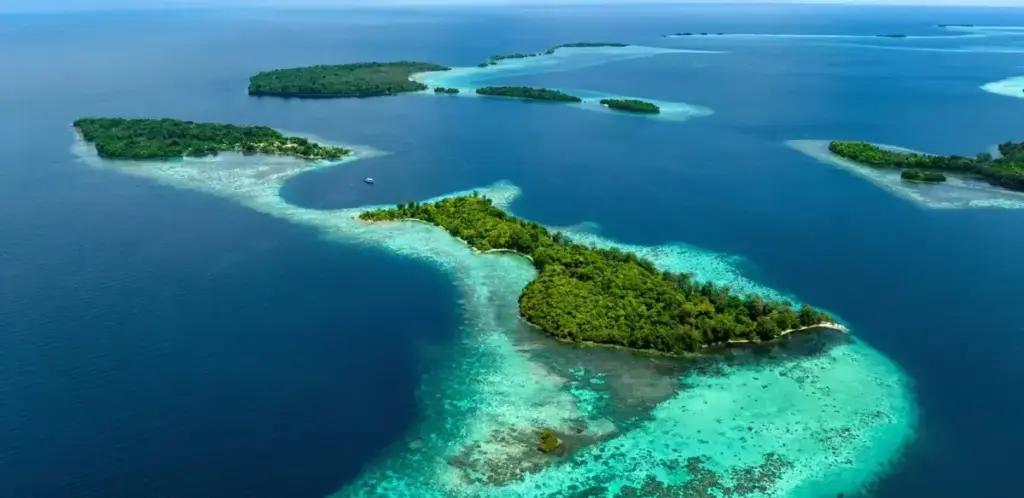 На Соломонових островах знайдено найбільший корал у світі