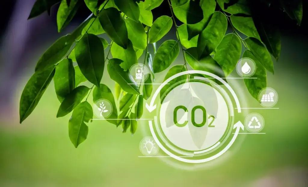 CO2 насправді може бути корисним для нашої ДНК