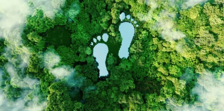 Вчені переглянули історію життя на Землі: часові рамки виявилися іншими