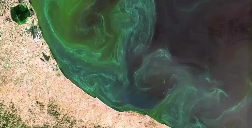 Вчені розповіли, як морські теплові хвилі впливають на здоров’я океану