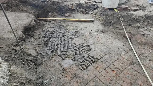 У Нідерландах знайшли багатовікову підлогу, залатану шматочками кісток
