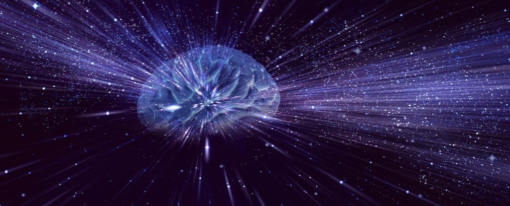 Вчені припускають, що свідомість могла з’явитися задовго до еволюції людини