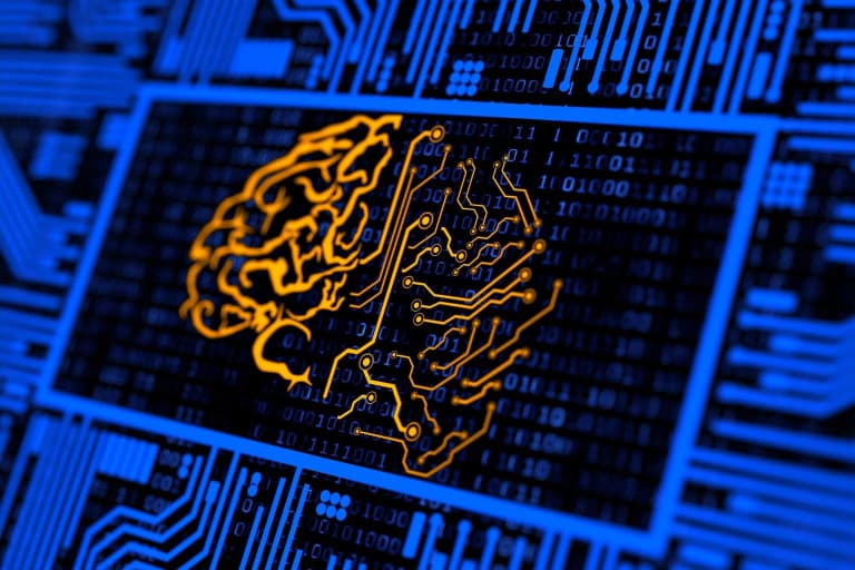 Дані дослідження свідчать, що вивчення мов здатне уповільнити старіння мозку