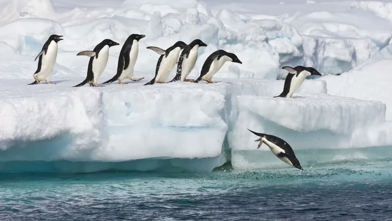 Глибинні води Антарктиди можуть змінити баланс Світового океану