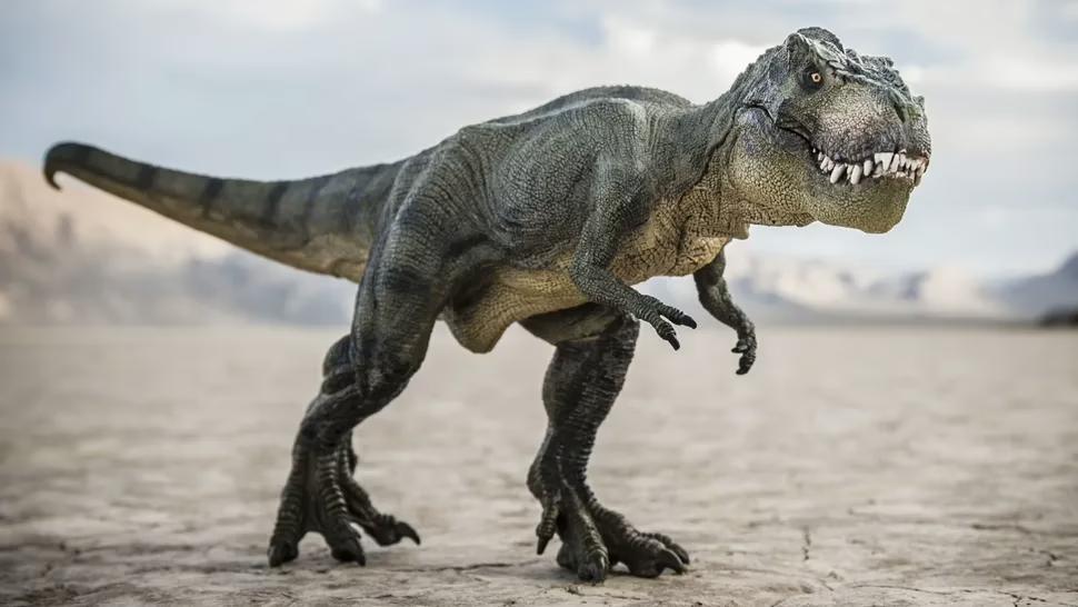 Вчені припускають, що T. rex еволюціонував у Північній Америці