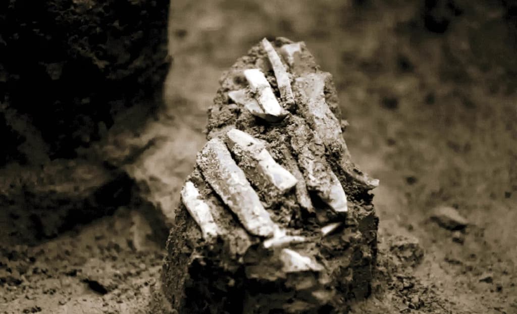 Кам’яні інструменти розкрили спосіб життя мисливців часів палеоліту