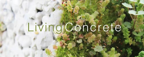 Вчені створили «живий» цемент, що зберігає електроенергію та живить будівлі