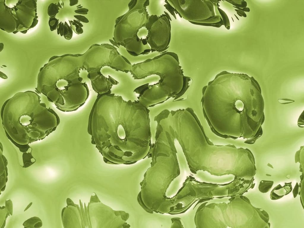 Вчені виявили життя, що спало під арктичним льодом десятки тисяч років