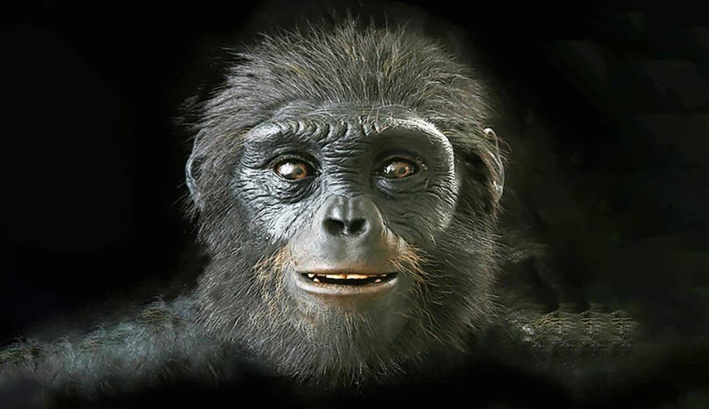 Нове дослідження підтвердило: люди походять від африканоподібного предка