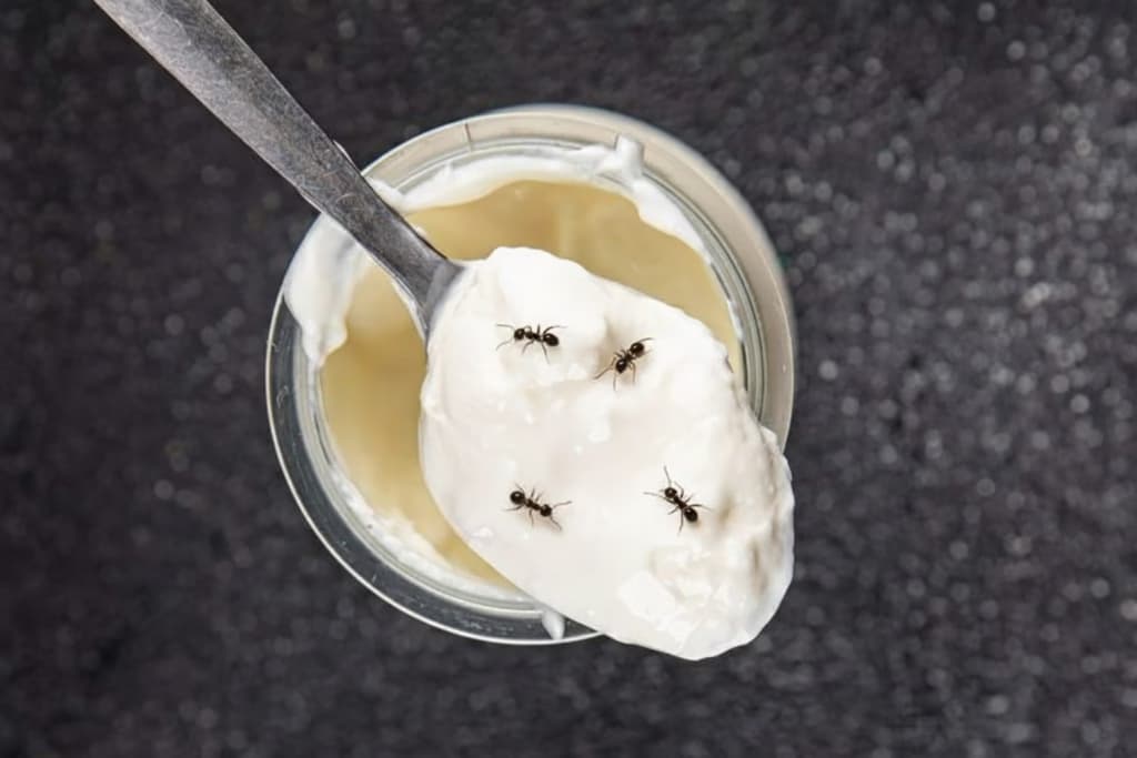 Вчені відкрили майже забутий рецепт йогурту з дивовижним інгредієнтом