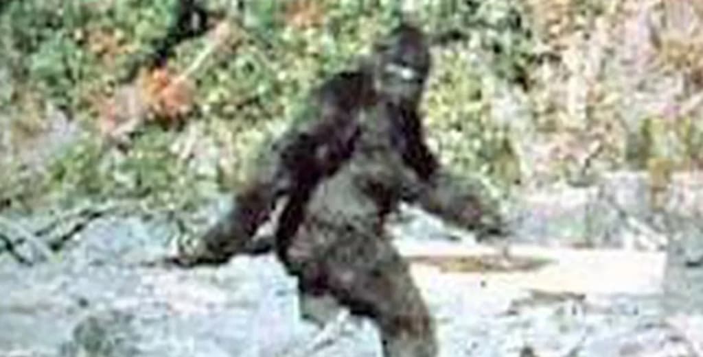 ФБР оприлюднило документи про експертизу волосся снігової людини