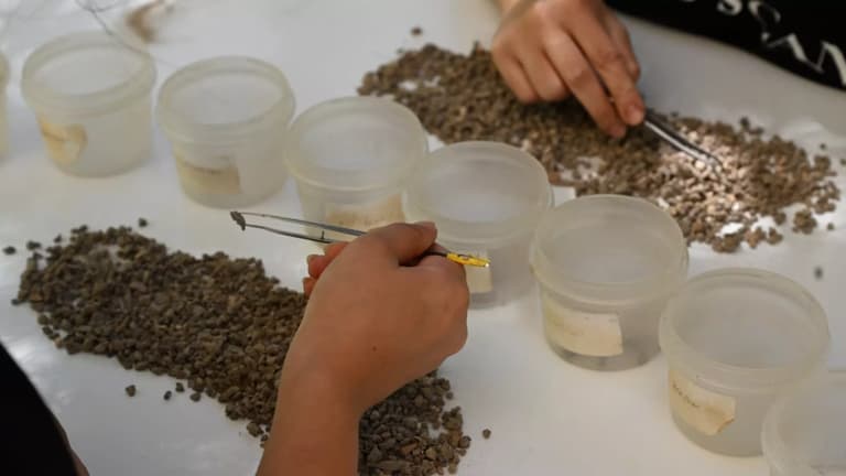 У Туреччині виявили кістяні знаряддя та прикраси віком тисячі років