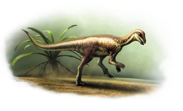 Динозавр розміром із домашню кішку знайдений у Колорадо