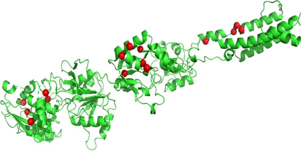 Вчені знайшли ген, здатний напряму викликати ментальні хвороби
