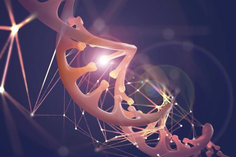 Вчені представили 4D-архітектуру людського геному