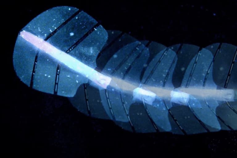 Інженери розробили робота, який працює без батарейок