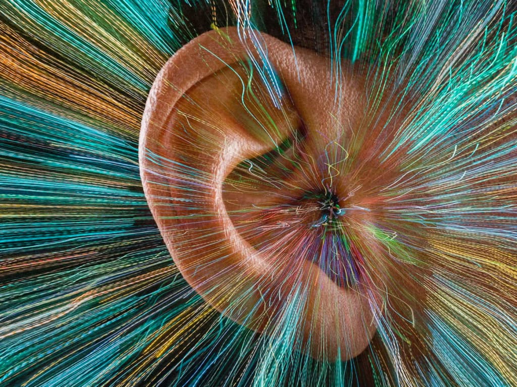 Прорив у медицині: внутрішнє вухо вперше підтримували живим за межами організму