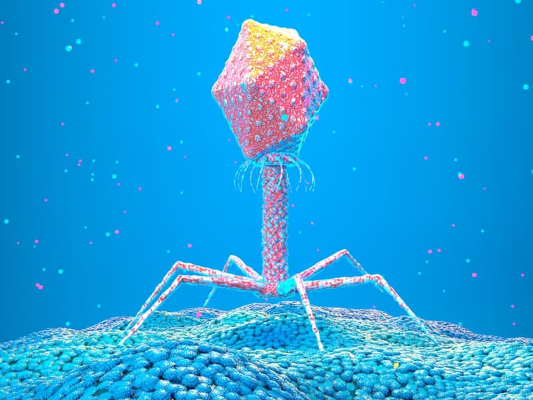 Сутності, які не підпадають під визначення життя, можуть рятувати людей