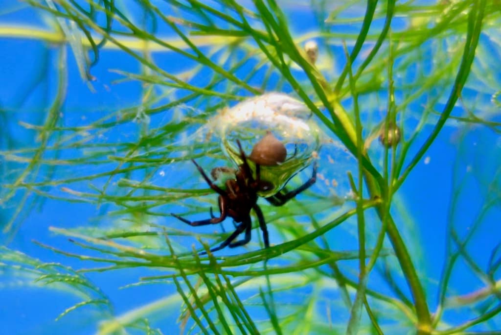 Інженери створили матеріал, з яким кораблі можуть стати справді непотоплюваними