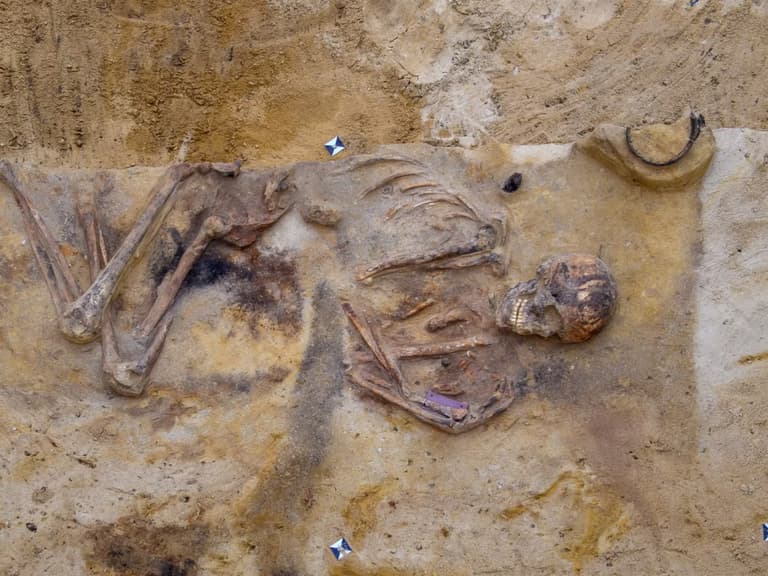 Вчені проаналізували геноми давньої культури та переписали історію Європи