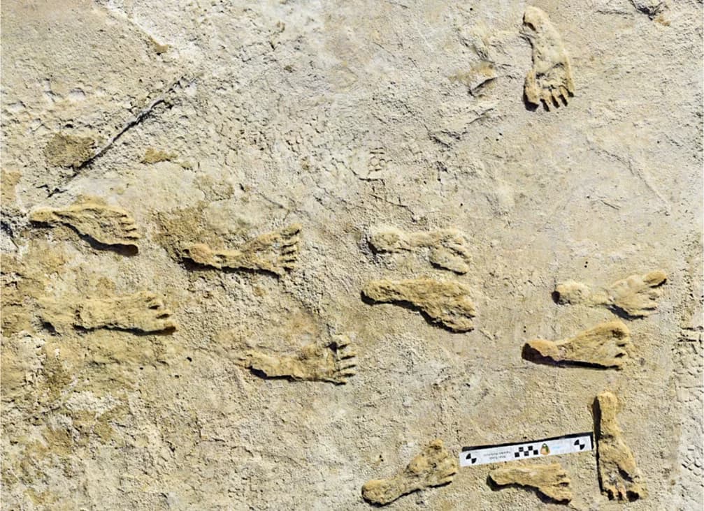 У Нью-Мексико знайшли сліди людей з льодовикової епохи