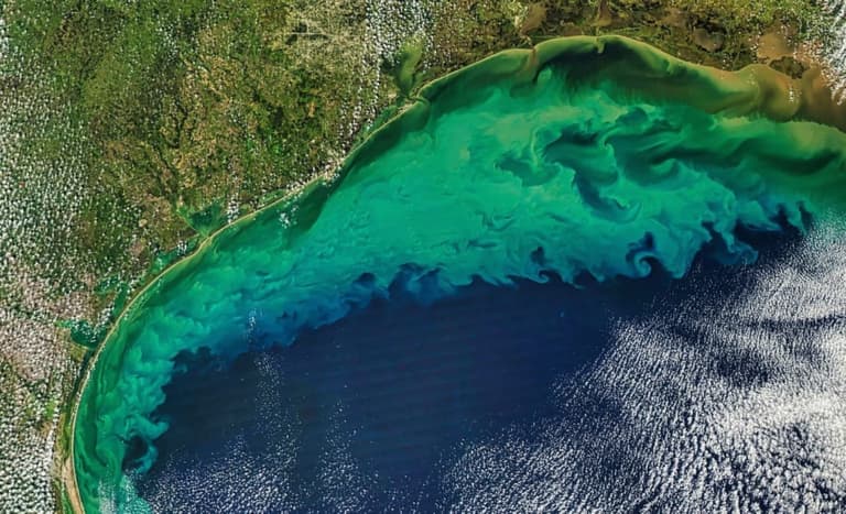 Кисень міг стати рушієм перших кроків складного життя на Землі