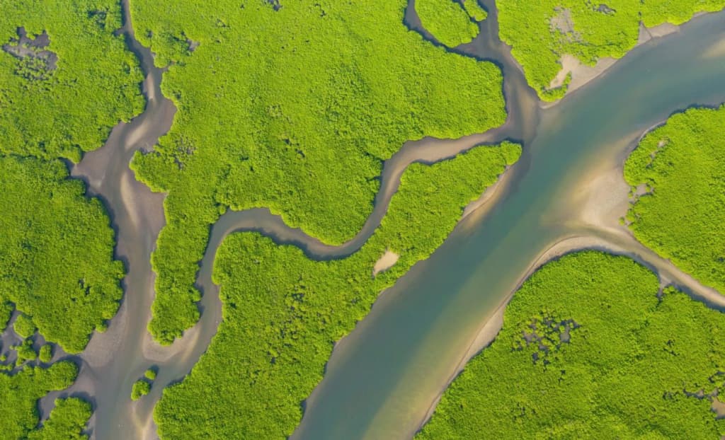 Вчені з’ясували причини стрибка метану на початку 2020-х років