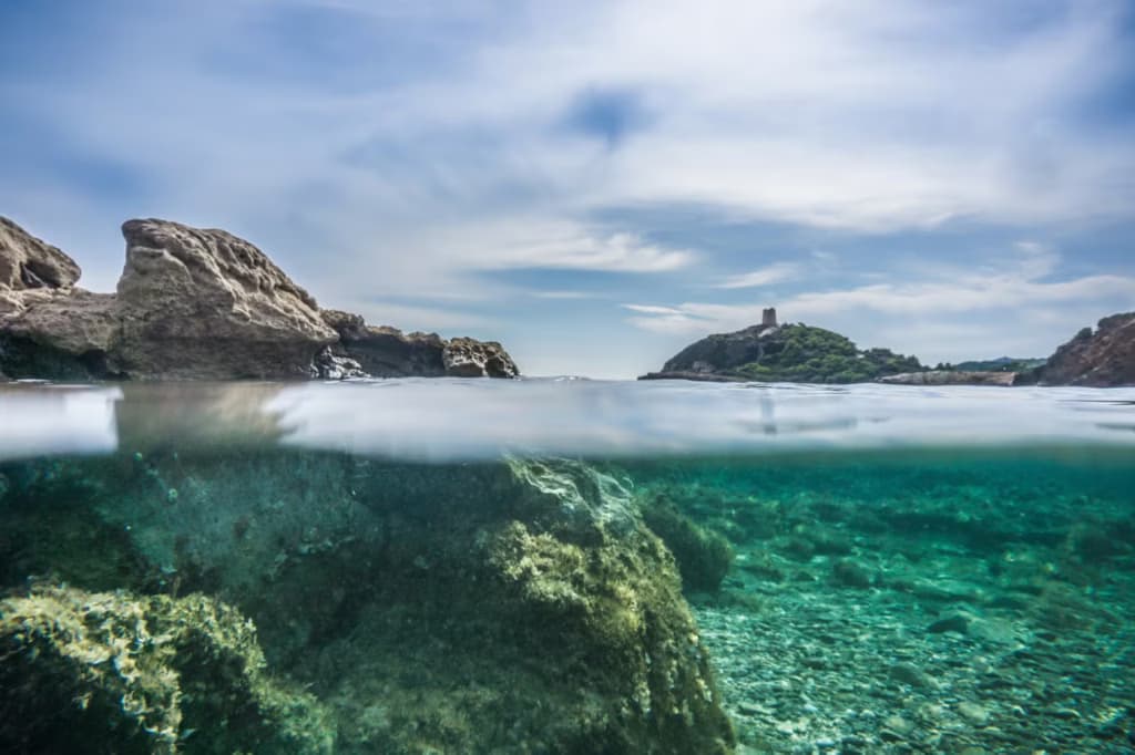 Несподіване відкриття: під час будівництва острова знайшли древній континент