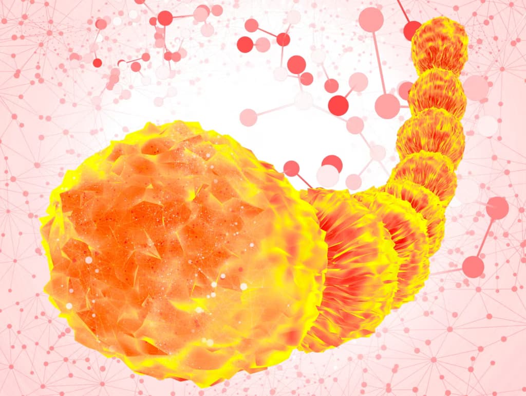 Вчені наближаються до розгадки віку першого спільного предка всього життя на Землі