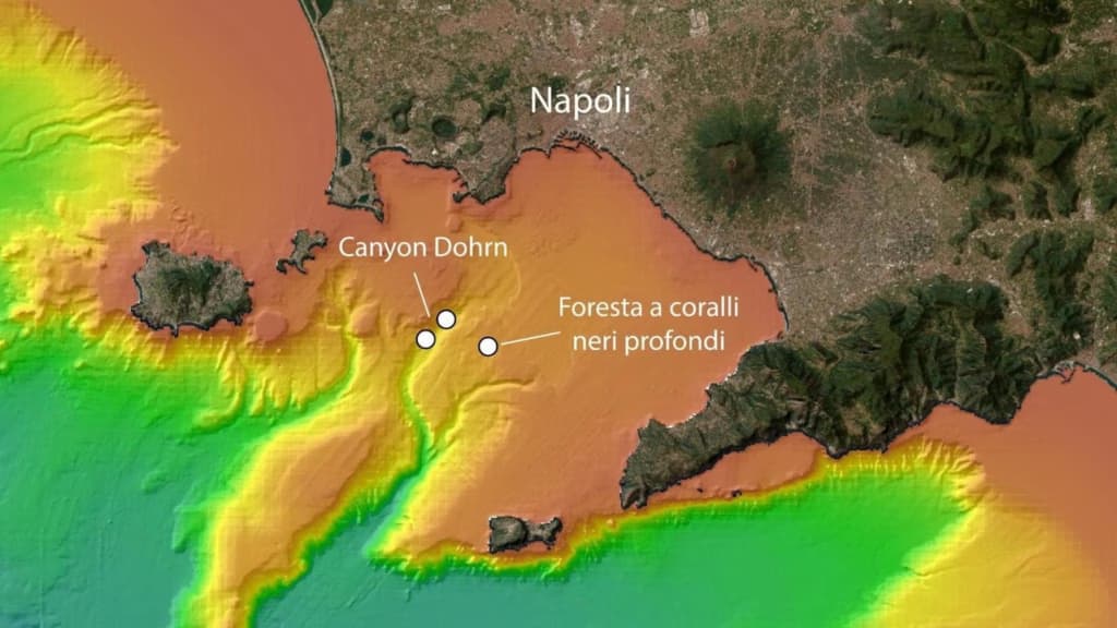 Вчені виявили прихований недоторканий світ у глибоководному каньйоні